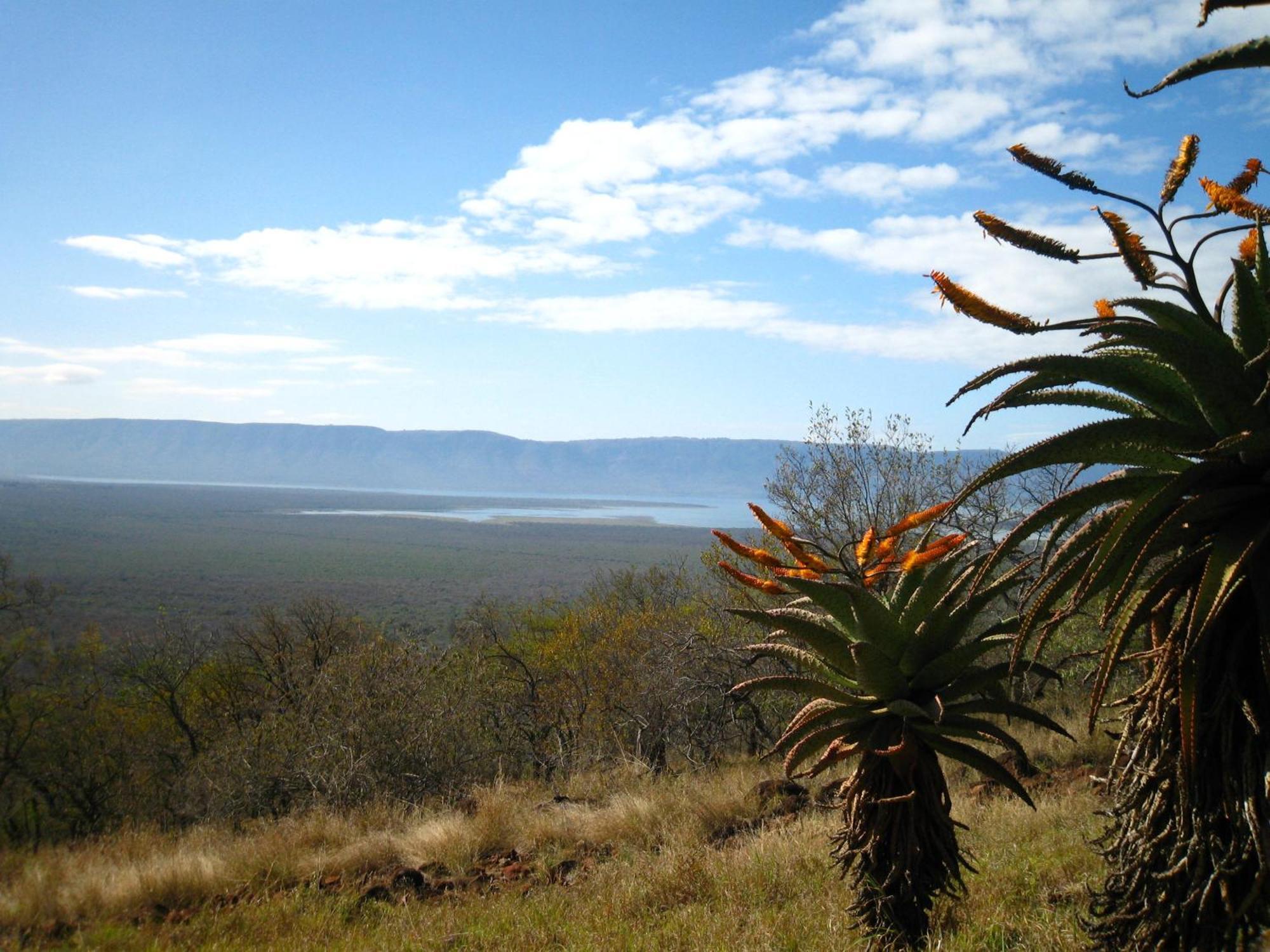 Shayamoya Tiger Fishing And Game Lodge Pongola Bagian luar foto